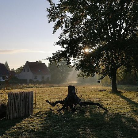 Ferienwohnung & Campingplatz Vor Dem Berg Heideblick ภายนอก รูปภาพ