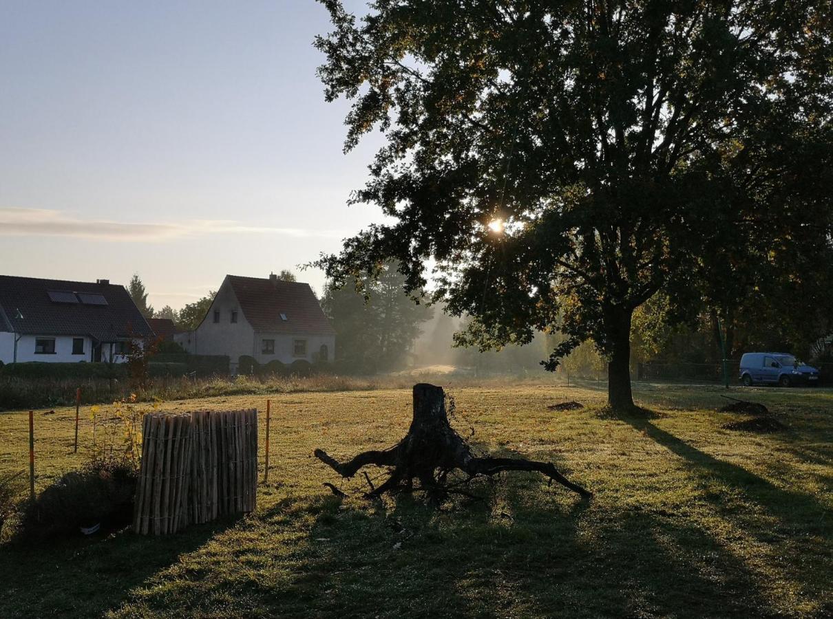 Ferienwohnung & Campingplatz Vor Dem Berg Heideblick ภายนอก รูปภาพ