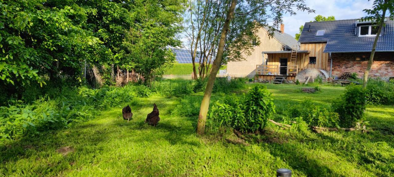 Ferienwohnung & Campingplatz Vor Dem Berg Heideblick ภายนอก รูปภาพ